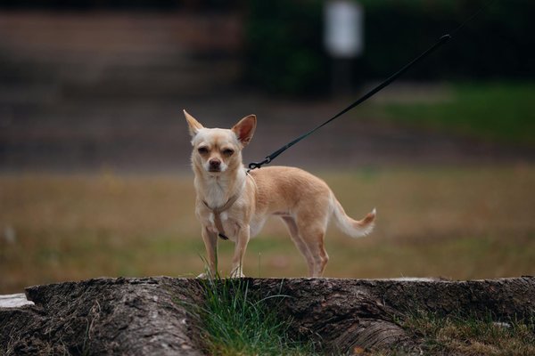 Guide pratique pour sélectionner la meilleure mutuelle santé