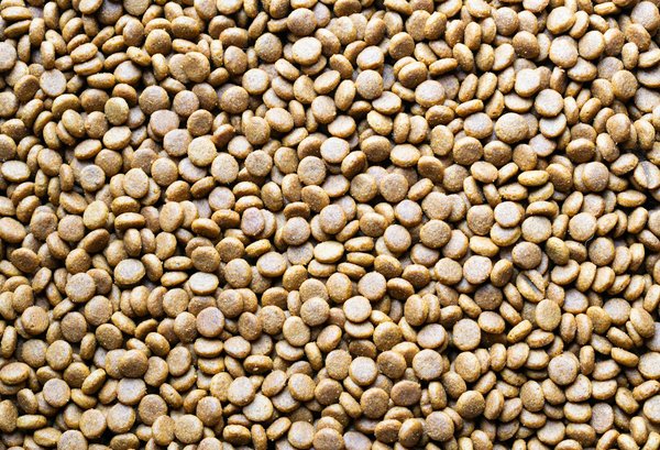 Les Effets Surprenants des Aliments Probiotiques dans la Régulation du Poids : Ce Que Vous Devez Savoir